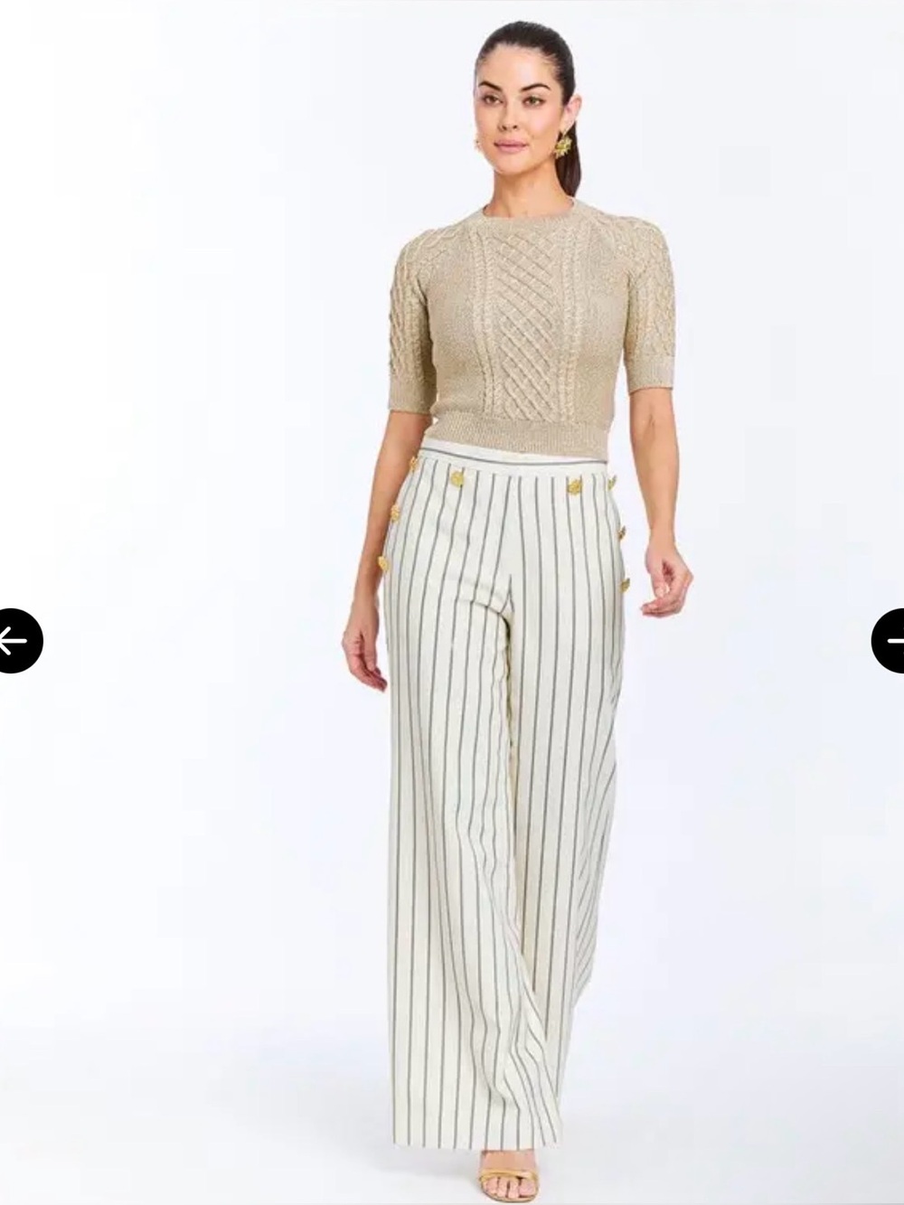 NWOT Mestiza New York Taylor Pinstripe Lined Wide Leg Pants